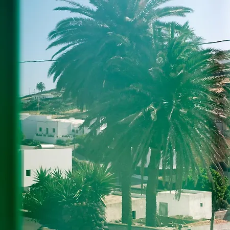 Hektor - Farm, Arts & * Teguise