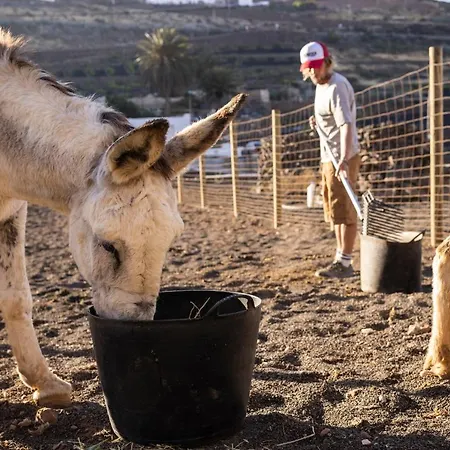 Hektor - Farm, Arts & B&B 4*