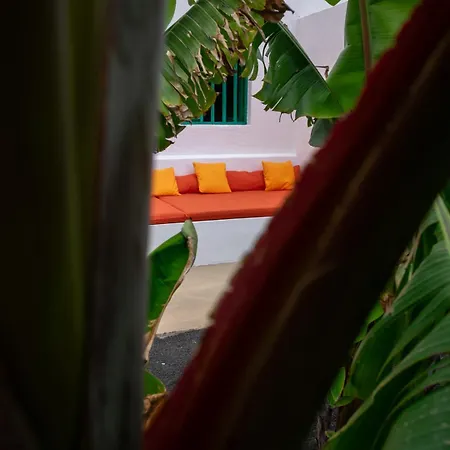 Hektor - Farm, Arts & B&B 4*