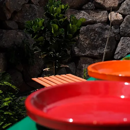 B&B Hektor - Farm, Arts &