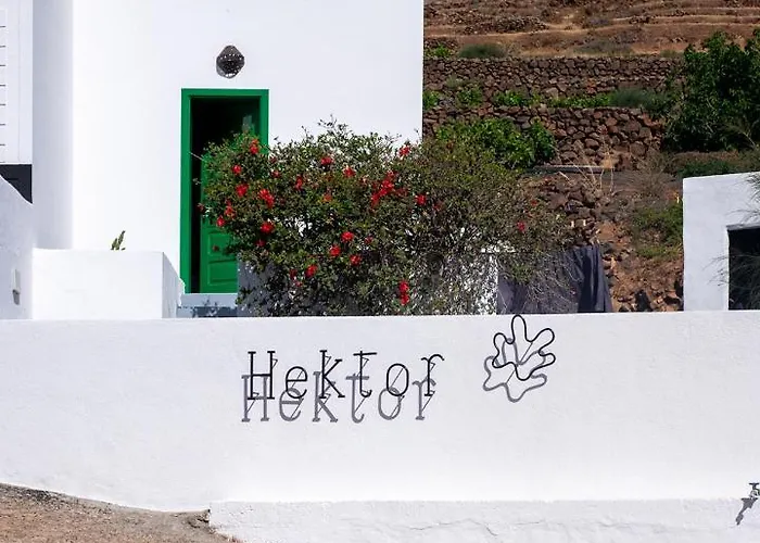 Hektor - Farm, Arts & Teguise (Lanzarote)